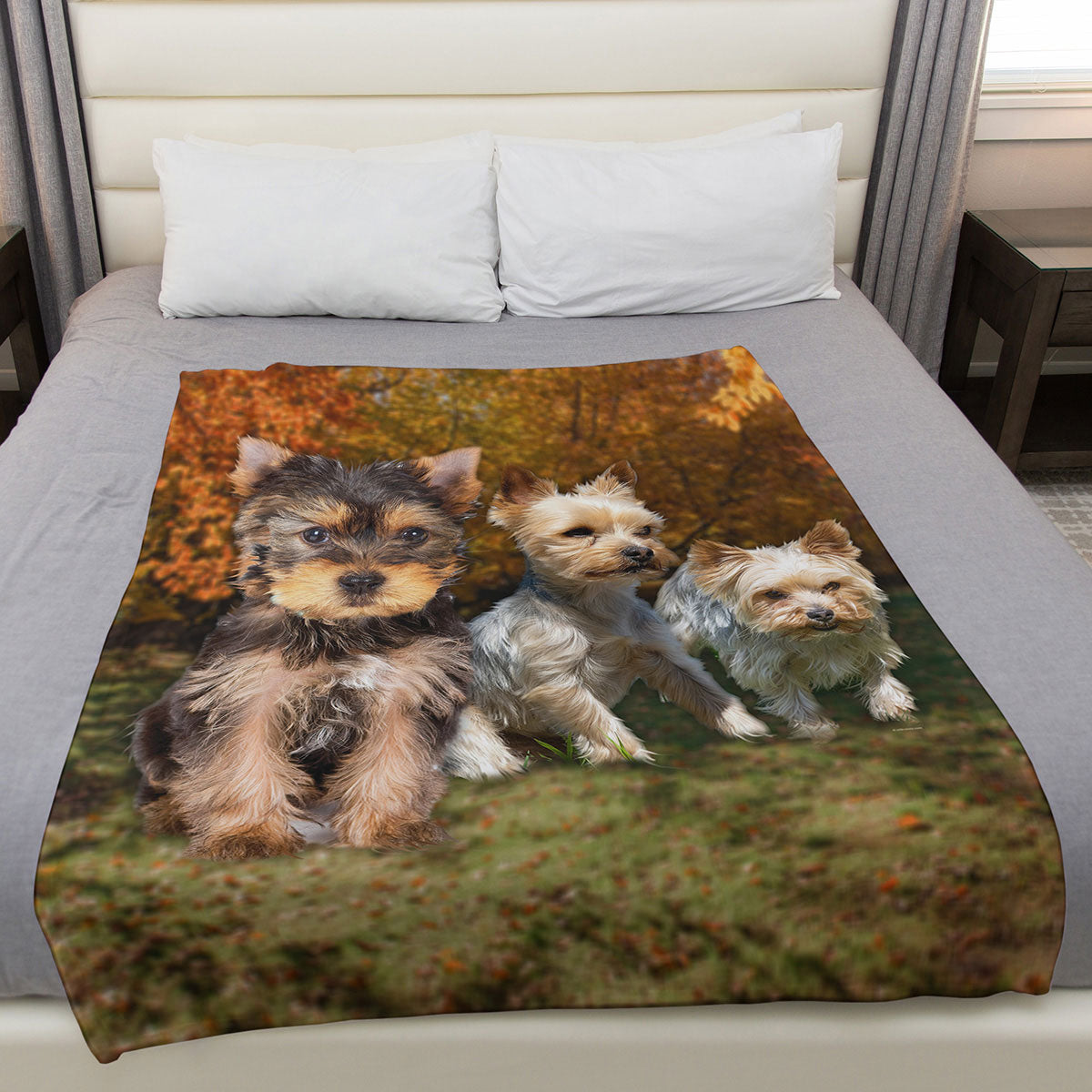 Yorkie 50" x 60" Fleece Blanket