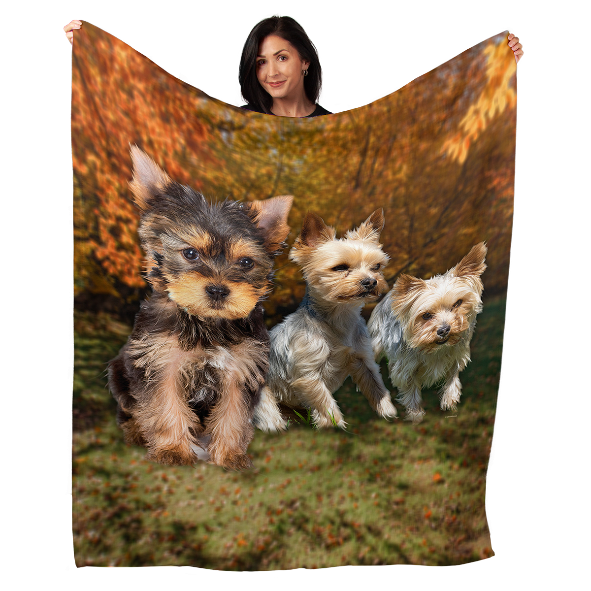 Yorkie 50" x 60" Fleece Blanket