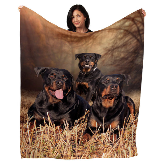 50" x 60" Rottweiler Plush Minky Blanket