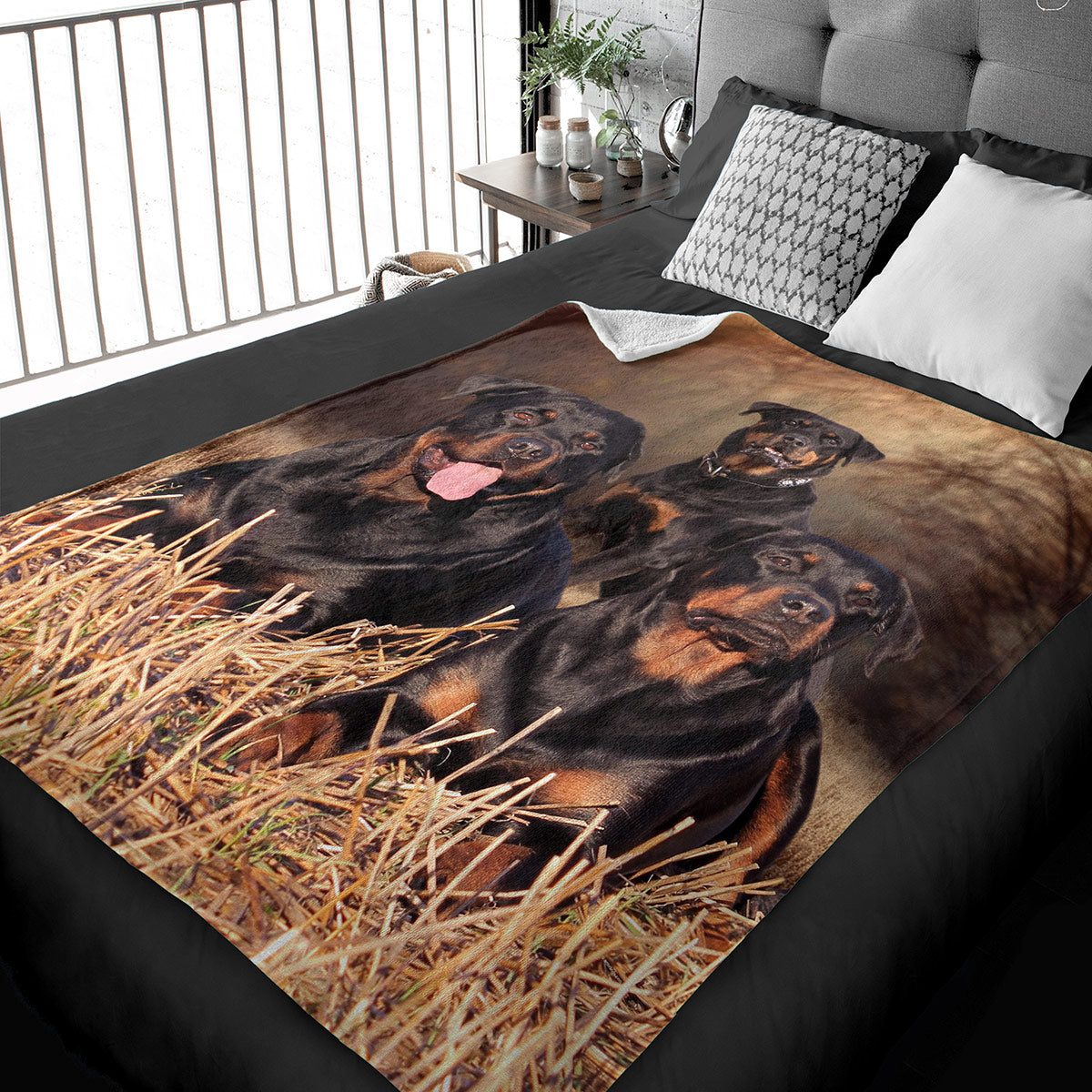 50" x 60" Rottweiler Plush Minky Blanket