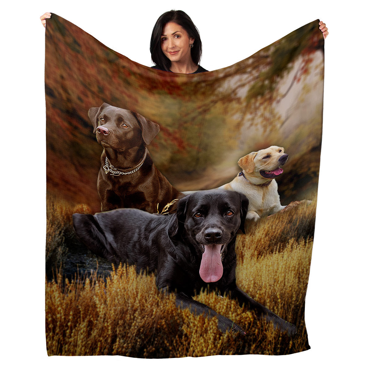 50" x 60" Labrador Retriever Plush Minky Blanket