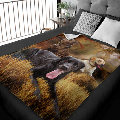 50" x 60" Labrador Retriever Plush Minky Blanket