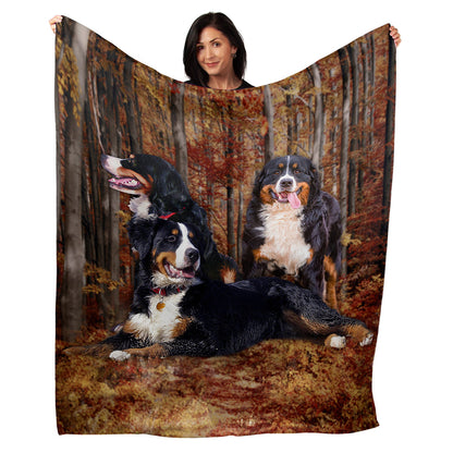 50" x 60" Bernese Mtn Dog Plush Minky Blanket