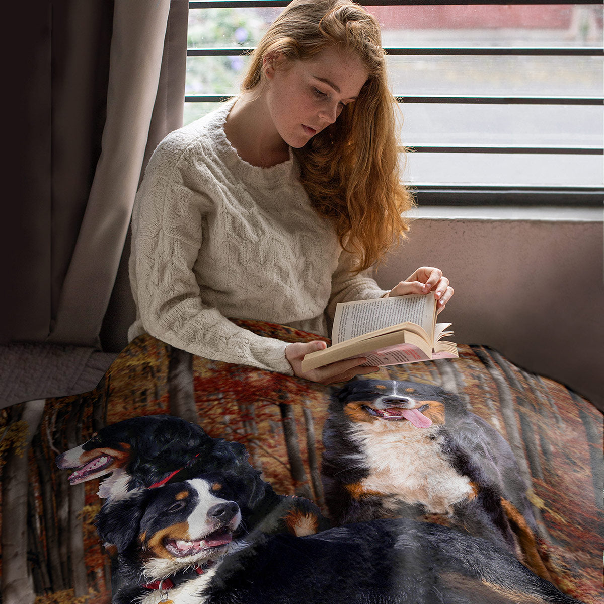 50" x 60" Bernese Mtn Dog Plush Minky Blanket
