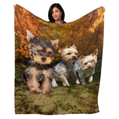 50" x 60" Yorkie Plush Minky Blanket