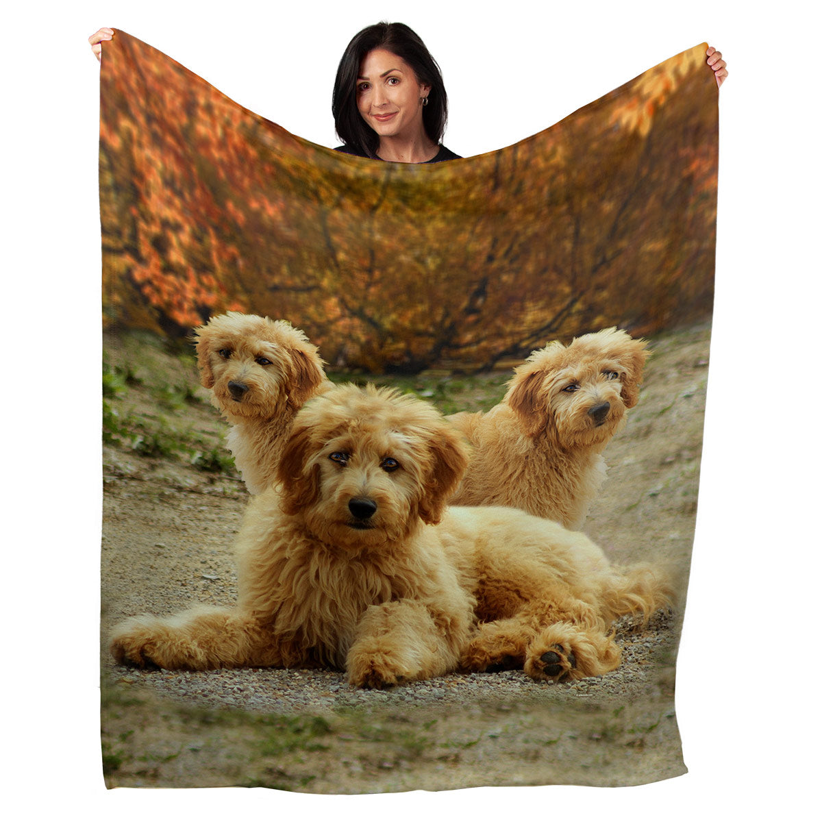 50" x 60" Golden Doodle Plush Minky Blanket