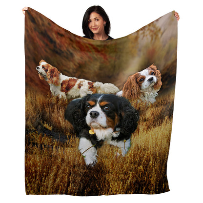 50" x 60" King Charles Spaniel Plush Minky Blanket