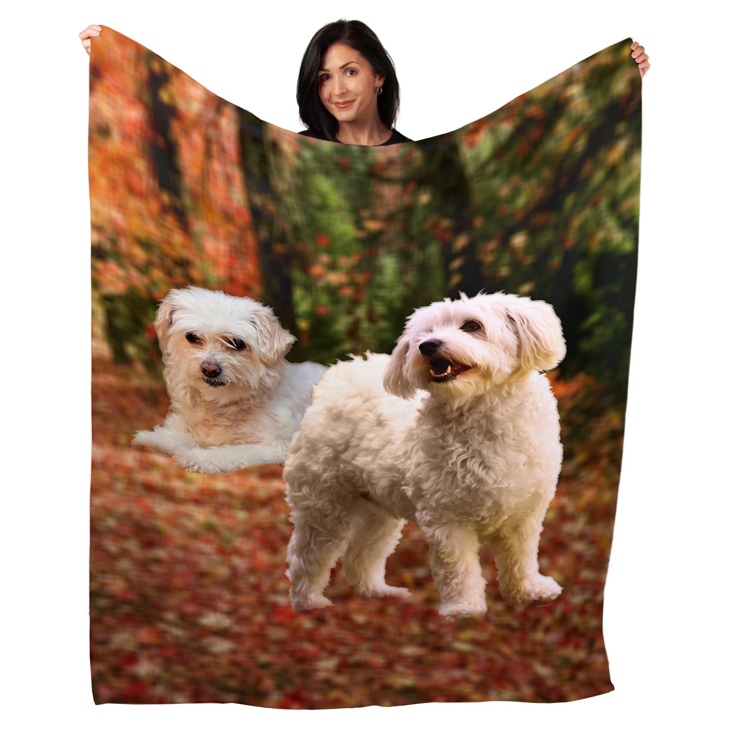 50" x 60" Bichon Frise Plush Minky Blanket