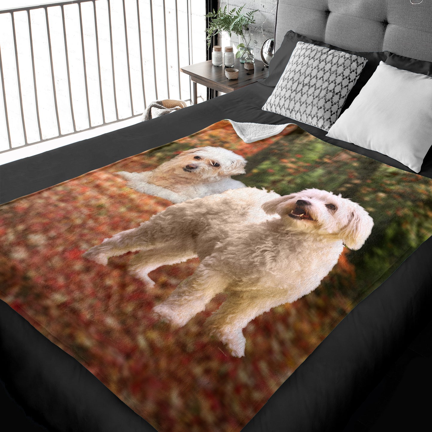 50" x 60" Bichon Frise Plush Minky Blanket