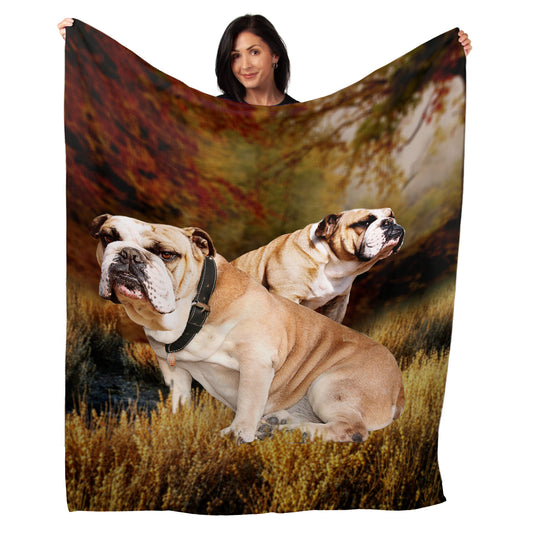 50" x 60" Bulldog Plush Minky Blanket