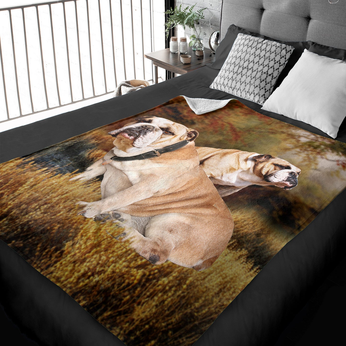 50" x 60" Bulldog Plush Minky Blanket