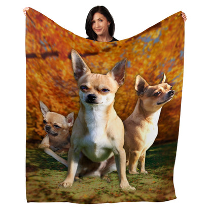 50" x 60" Chihuahua Plush Minky Blanket