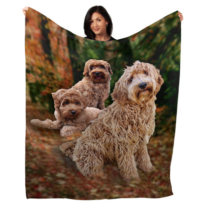 50" x 60" Labradoodle Plush Minky Blanket