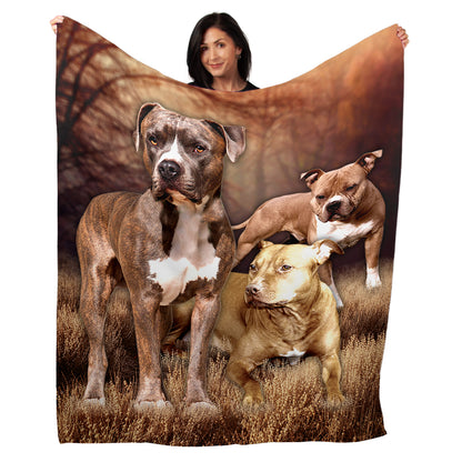 50" x 60" Pitbull Plush Minky Blanket