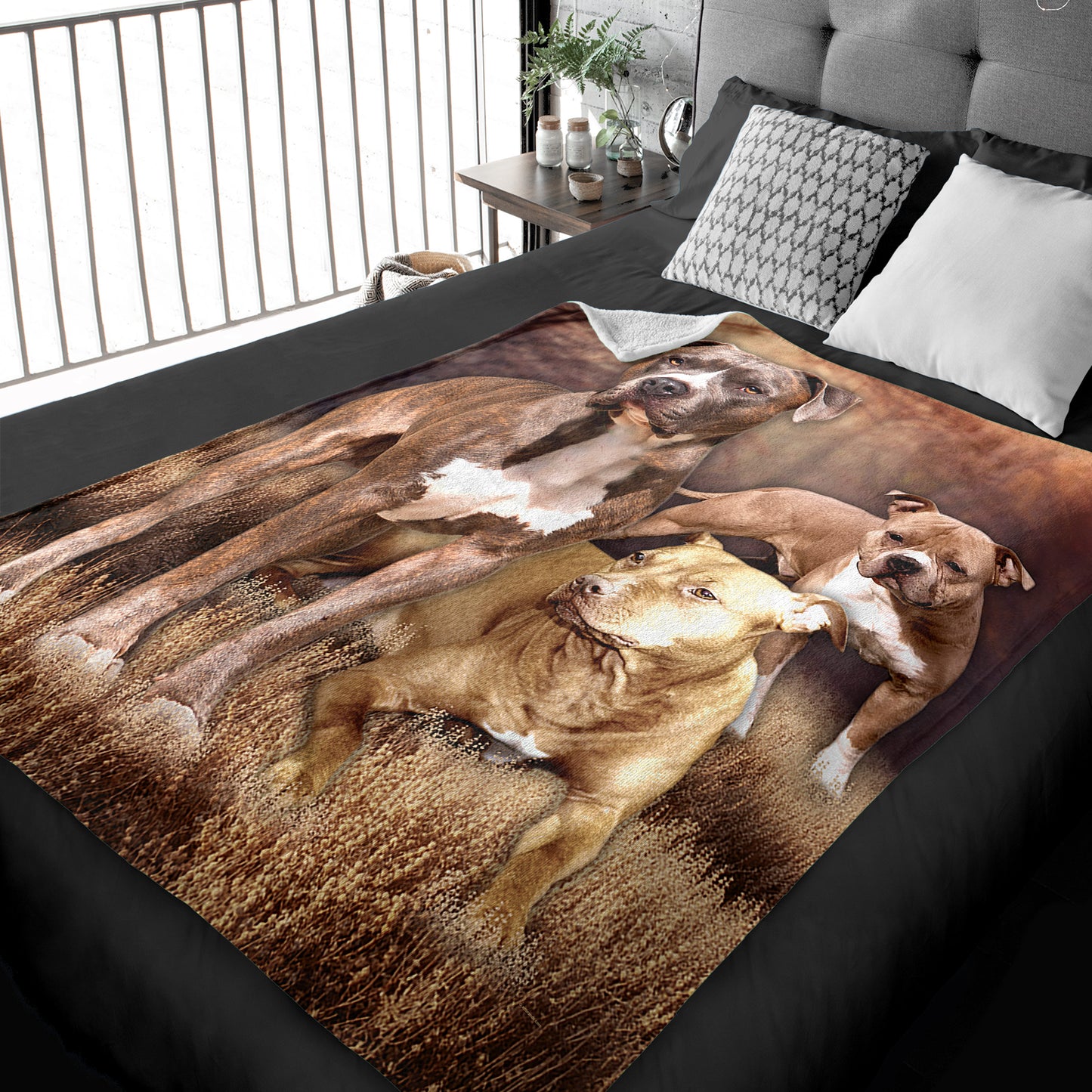 50" x 60" Pitbull Plush Minky Blanket